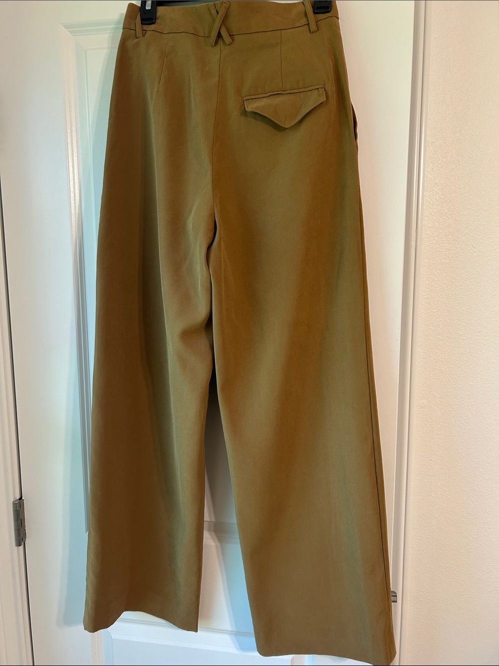 Banana Republic Olive-Tan Wide-Leg Pleated Chinos - Picture 4 of 14